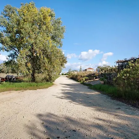 Dolphin 7 Zákinthosz